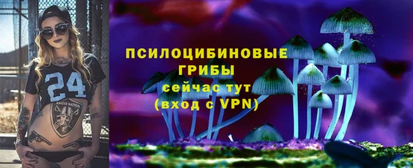ешки Богданович