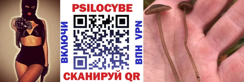 где купить наркотик  Фёдоровский  Псилоцибиновые грибы MAGIC MUSHROOMS 
